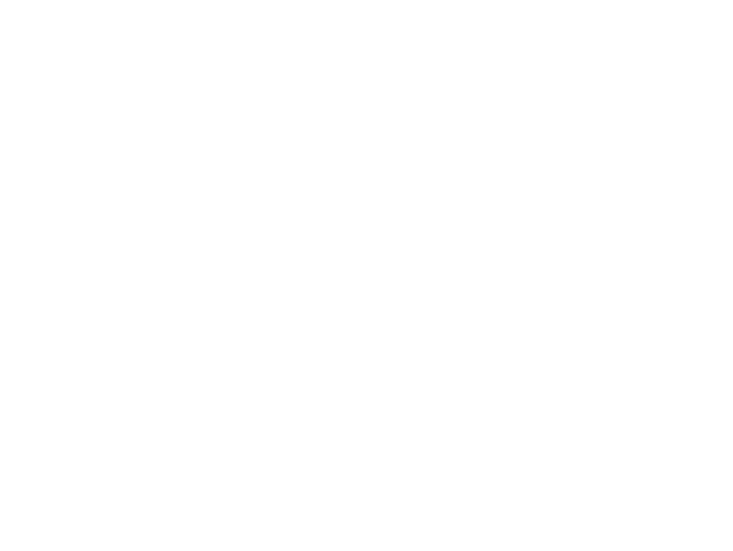 翻訳済レポート